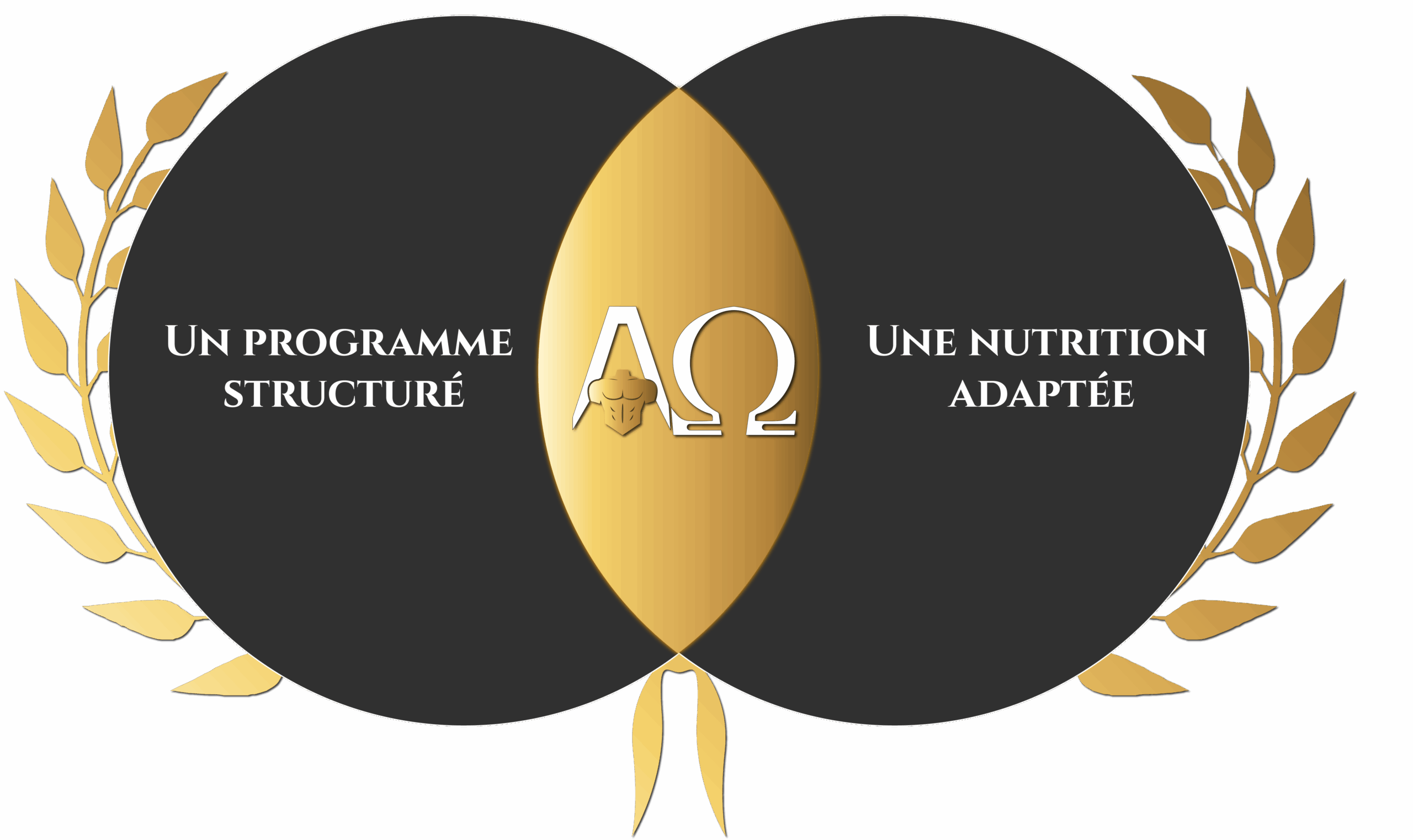 Programme et nutrition